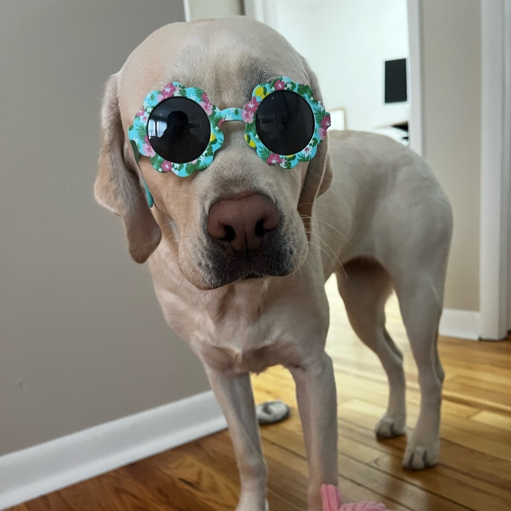 Meet your Posher, Matt